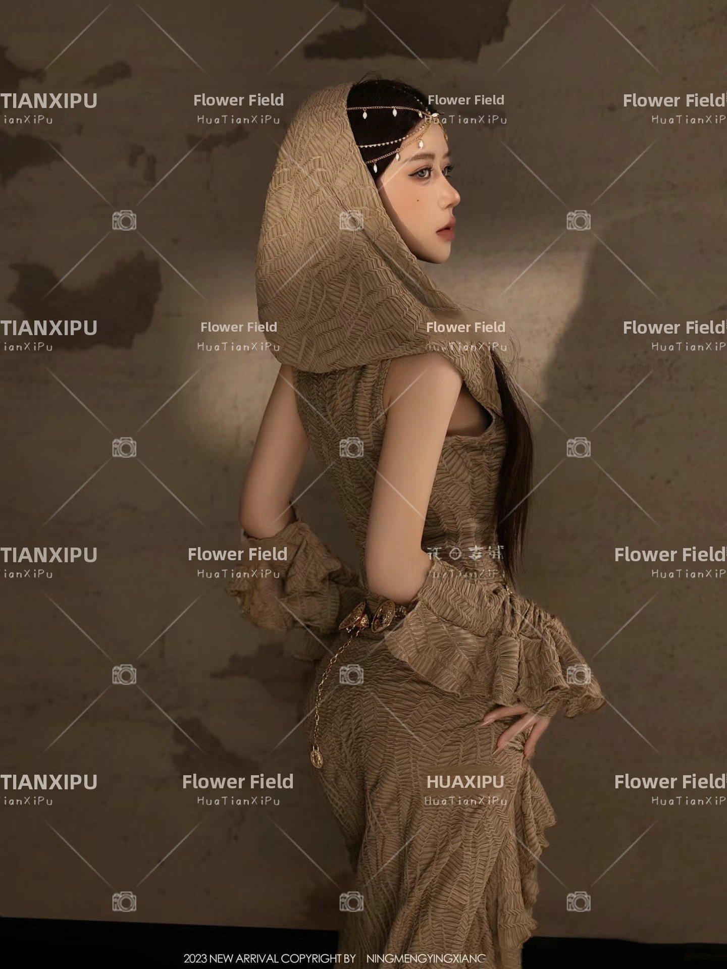 New Desert  Princess Style Pho - Ethnic Fashion Shoot 评论和价格